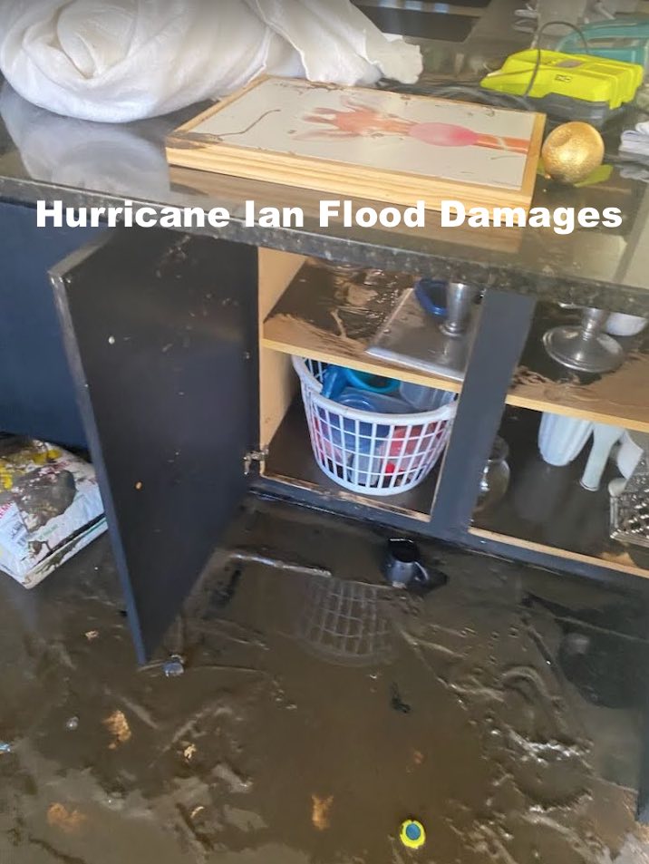 Hurricane Ian Public Adjusters